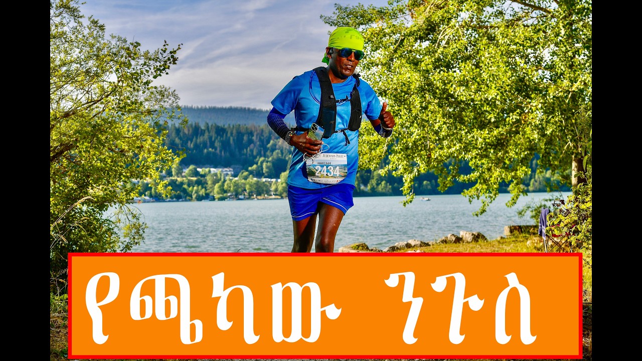 የጫካው ንጉስ ስዊዘርላንድ