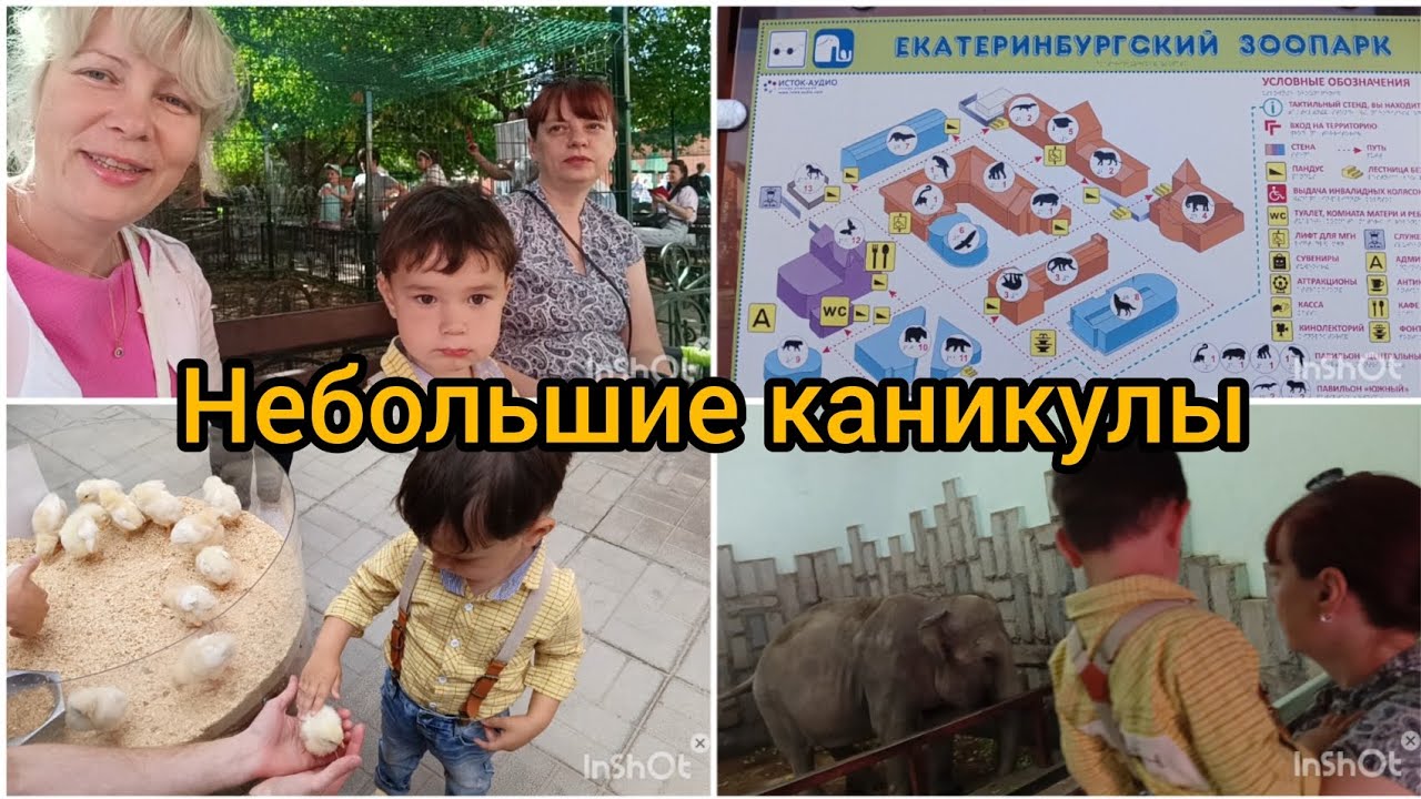 Поехали на отдых/Срочно нужен слон😀/Шикарный хвост у павлина/Зоопарк в Екатеринбурге