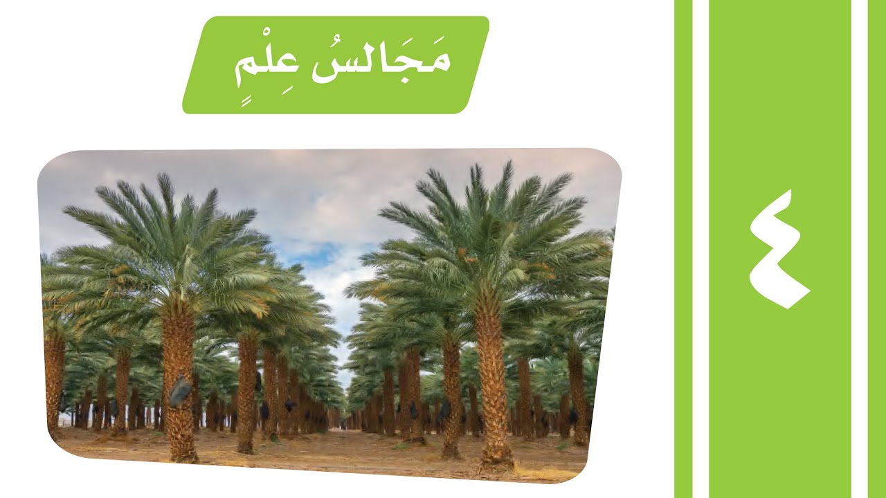 نص الفهم القرائي (مجالس علم) لغتي الجميلة - للصف الرابع الابتدائي -تقديم الأستاذ : أحمد الحجيلي.