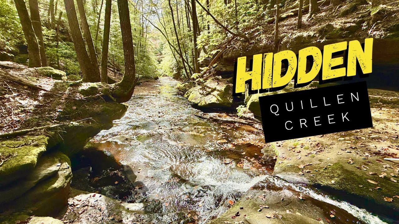 Into the Quillen Creek Wilderness: Nature's Hidden Paradise