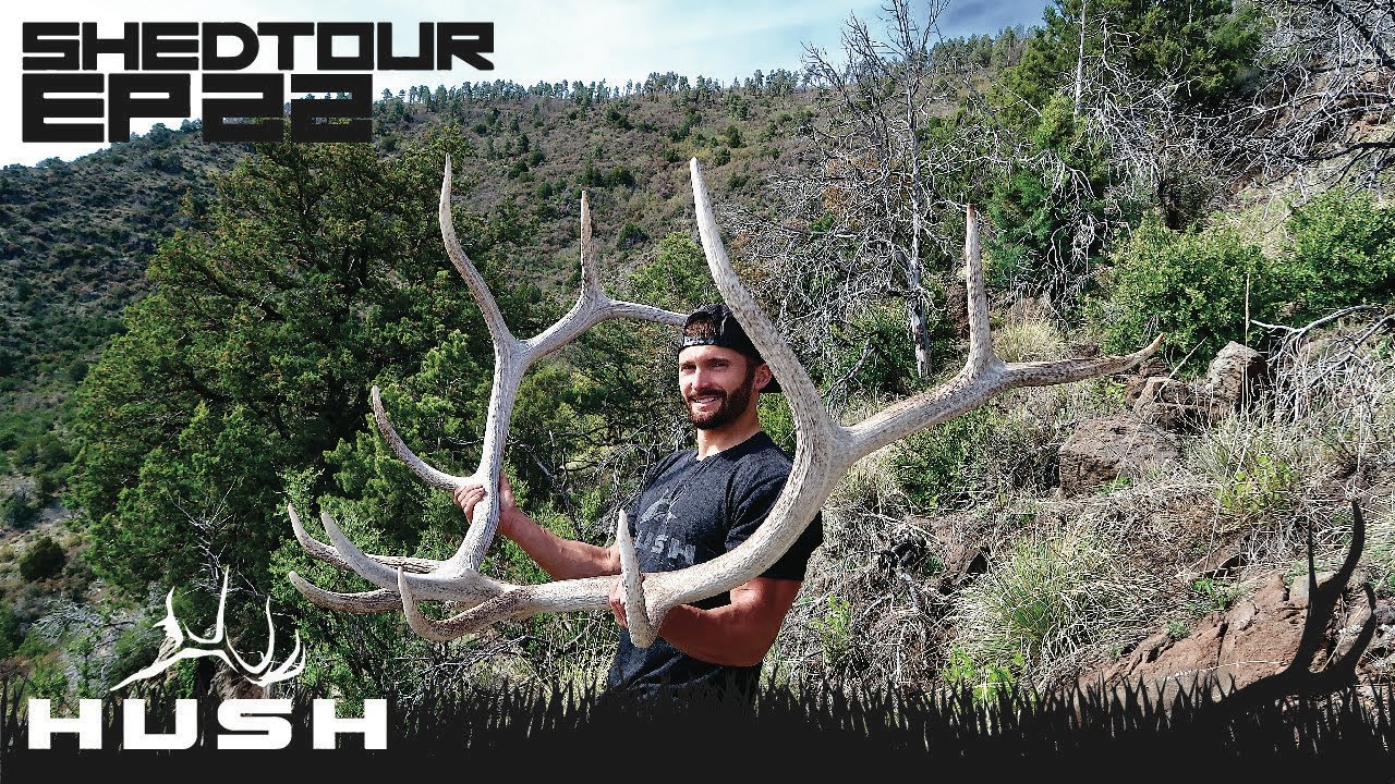 SHED TOUR | EXTREME ELK SHED HUNTING - CLOSE CALL WITH A RATTLE SNAKE | S2E22