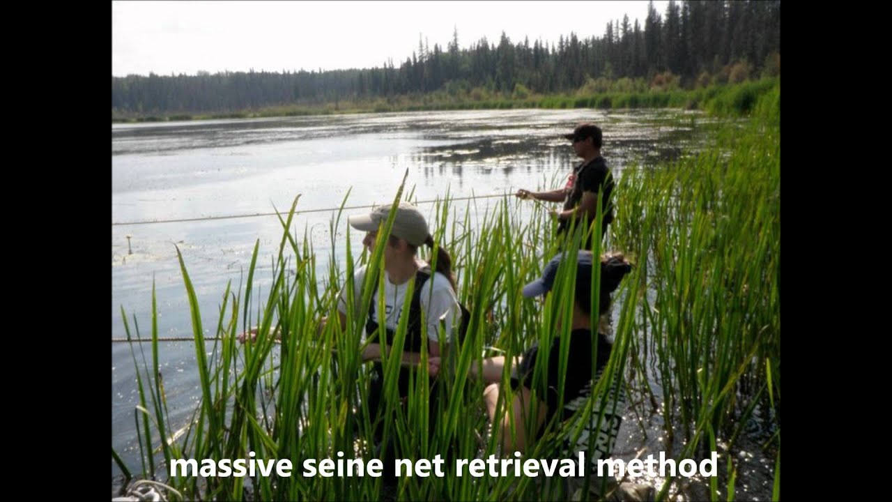 The van den Heuvel Lab - Canadian Rivers Institute Student Video Contest 2012