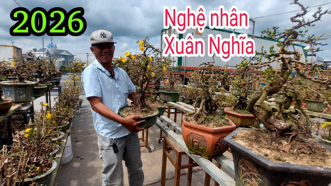 Mai vàng Chào bán của Nghệ nhân Xuân Nghĩa LH:0935853733