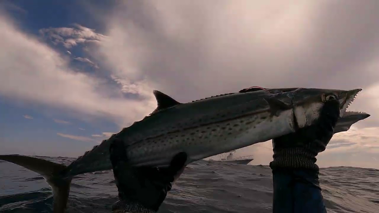Miami SOLO SpearFishing ( 3 MINUTES UNDER WATER ) ( I lost my Anchor )