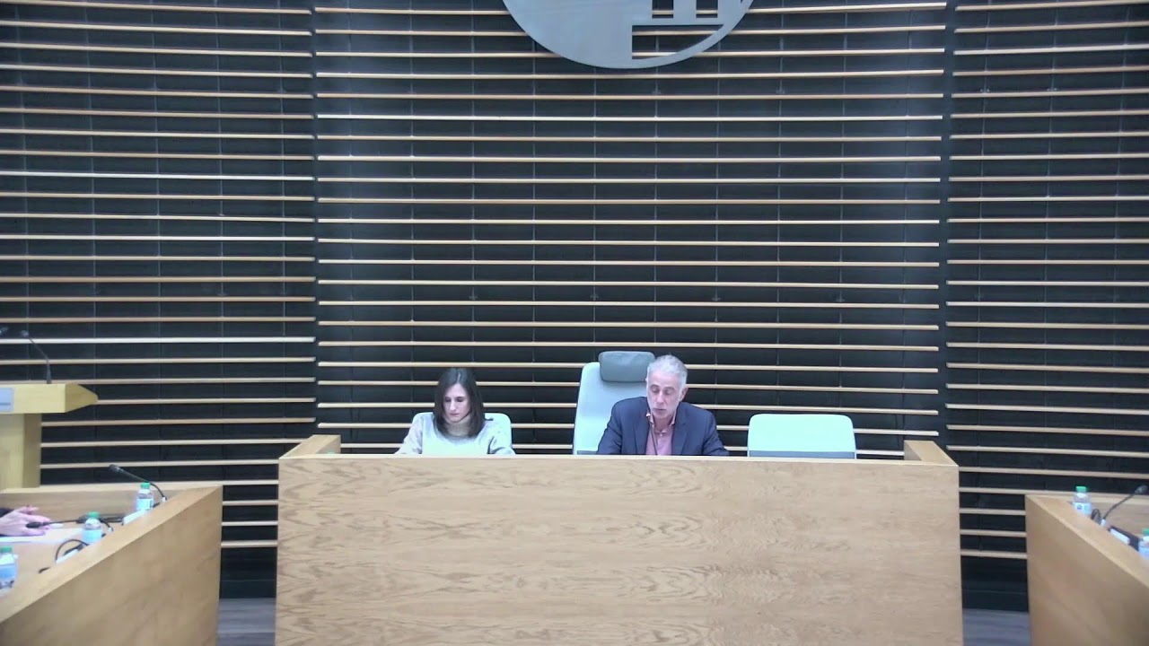 pleno ordinario 19/12/2024