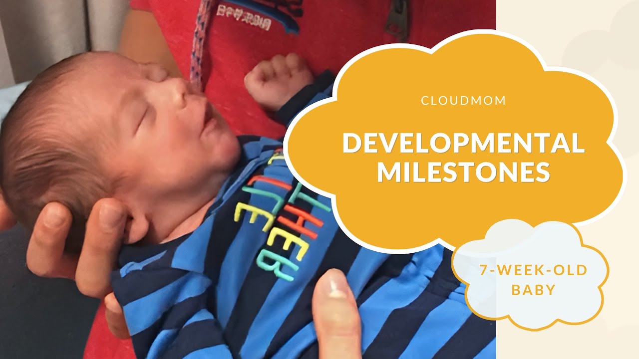 7 Week Old Baby: Developmental Milestones | Subt. ENG/ FR/ ES/ ZHO_CN | CloudMom