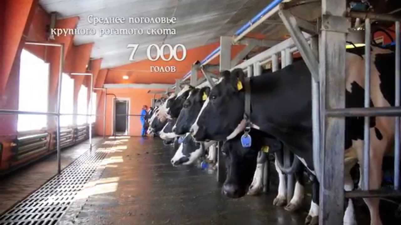 ИРМЕНЬ. Ближе к душе.