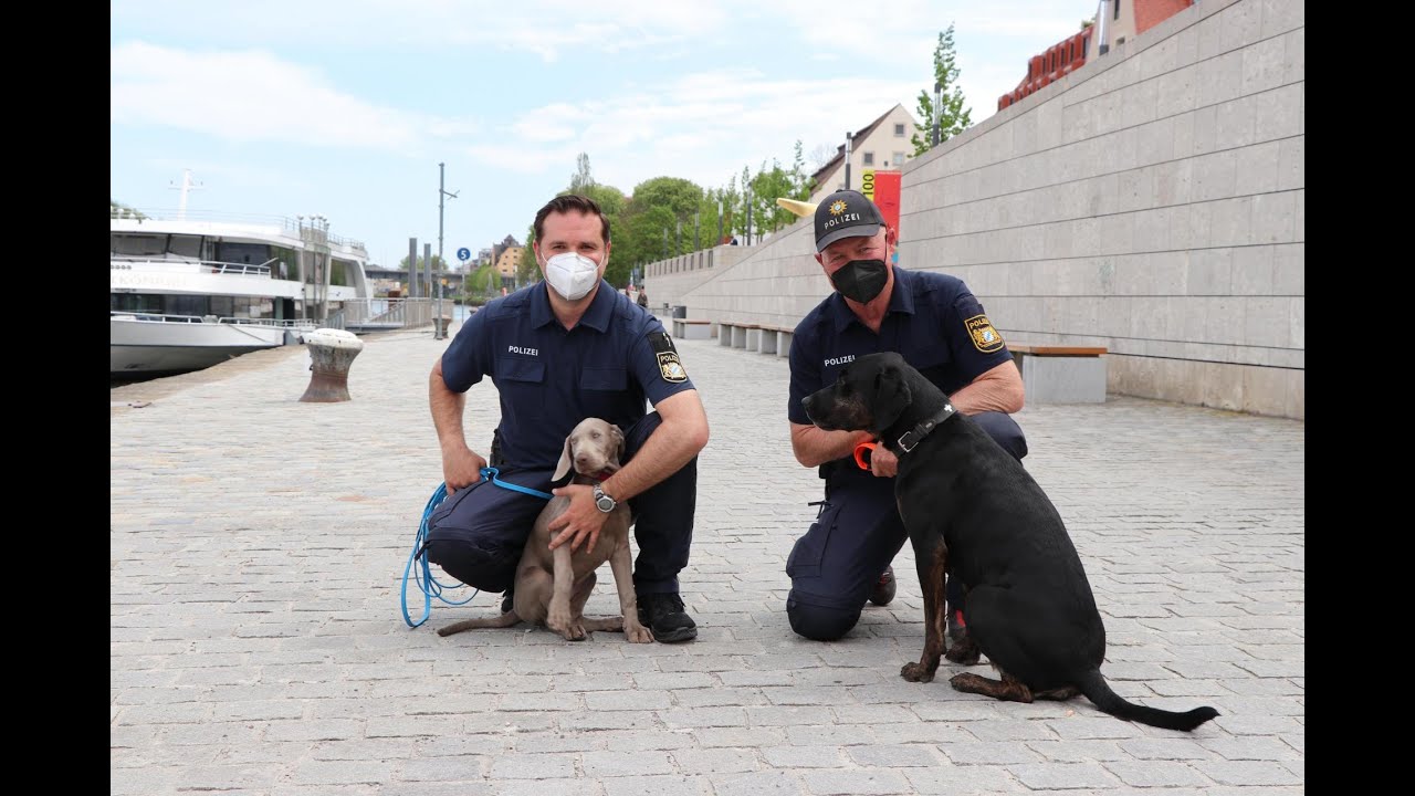 Lilly wird Personensuchhund bei der Polizei