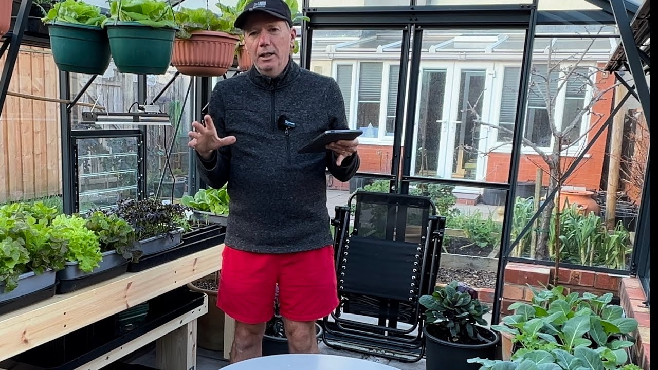 What I’m sowing and growing in January