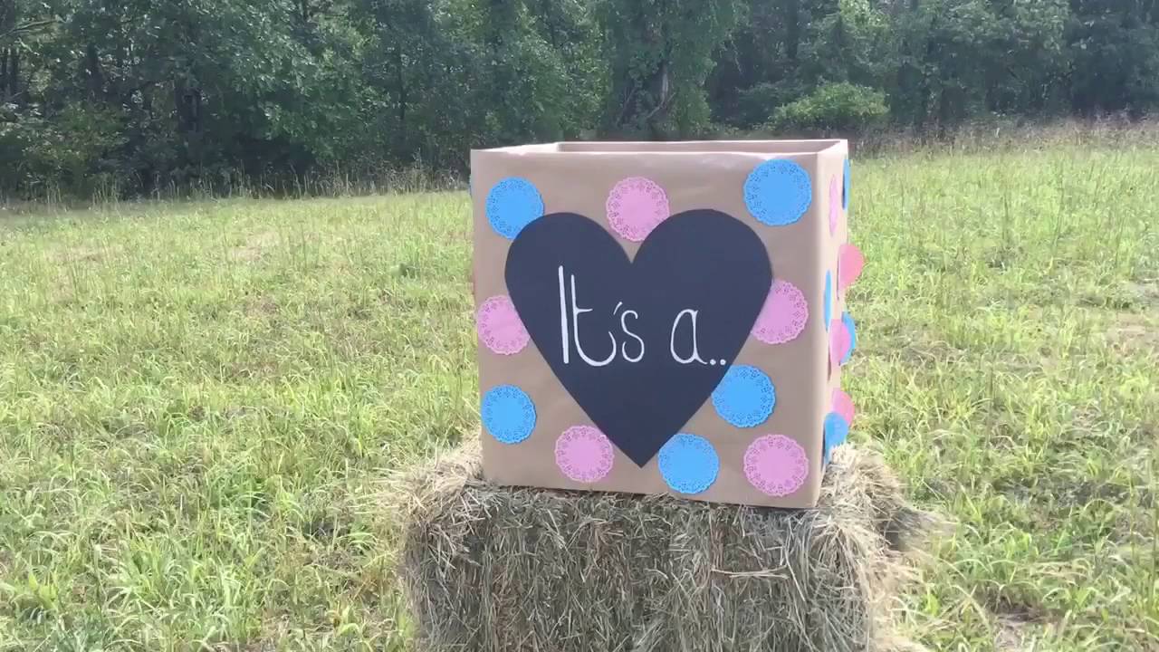 Best Tannerite Gender Reveal Ever