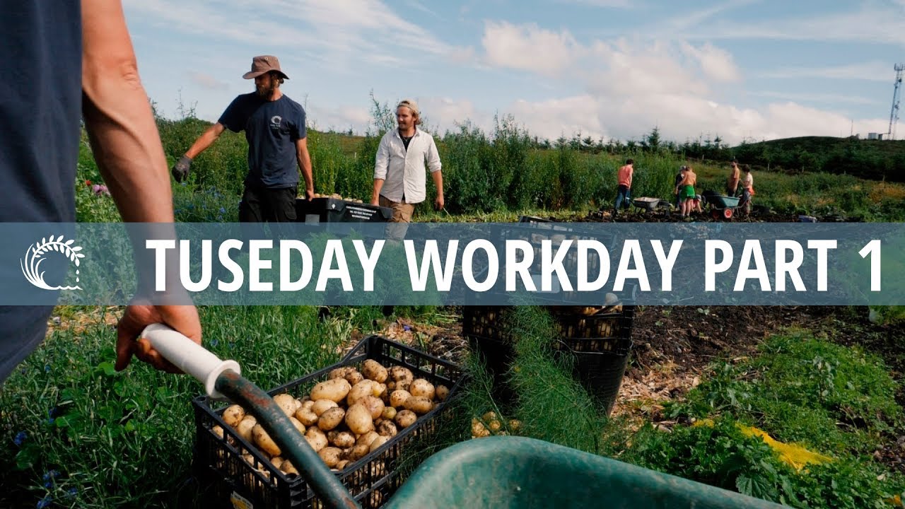 TUESDAY WORKDAY PART 1