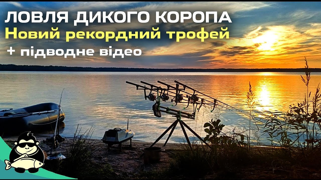 Новий трофей на дикому озері. Ловля в завоз. Підводне відео.