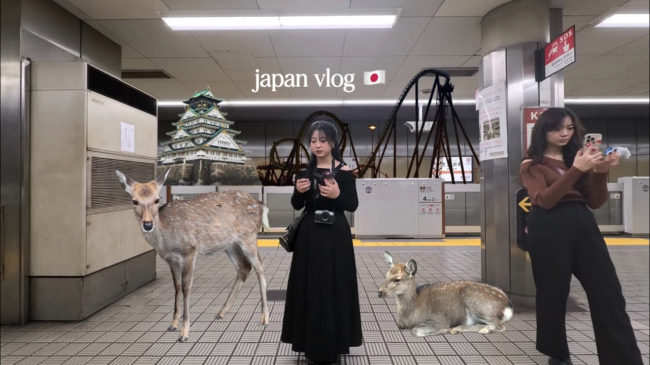 japan vlog 🇯🇵 osaka & nara: universal studios, nara deer park, osaka castle & street food!