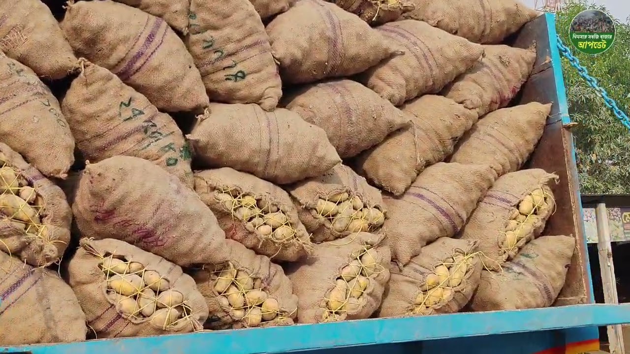 নতুন পুরাতন আলুর পাইকারি দাম নিমসার সবজি বাজার থেকে। #নিমসার সবজি বাজার আপডেট 
