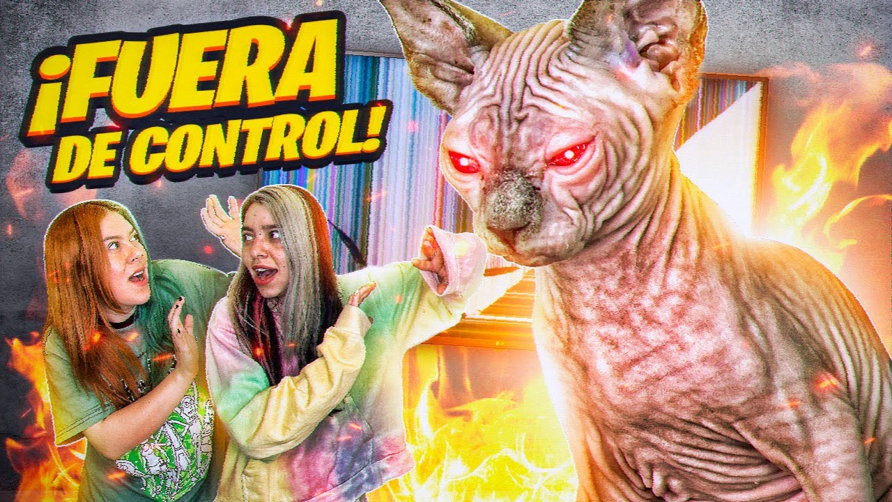 NUESTRO GATO SE SALIÓ DE CONTROL😫😾 (BROMA A MI NOVIA)| CONDER Y NAME