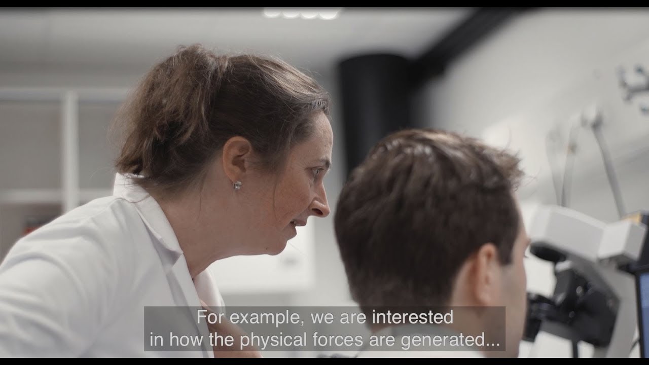 Spinoza Laureate 2018 - Marileen Dogterom