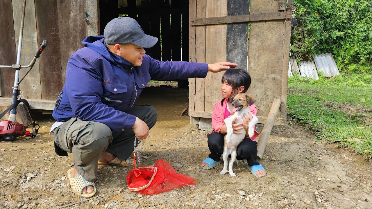 Linh Dan was very happy today because Uncle Thanh gave him a Beo dog and mowed the surrounding grass