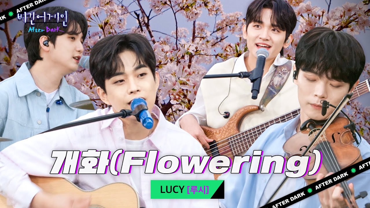 LUCY(루시)가 데려와 준 따스한 봄바람🌸 '개화(Flowering)' | 비긴어게인 애프터다크