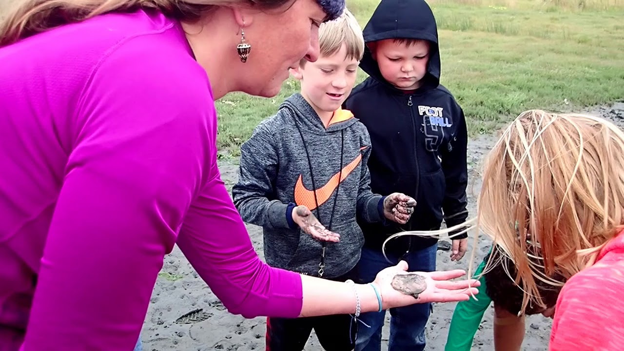 South Slough Summer Camp Cultivating Wonder