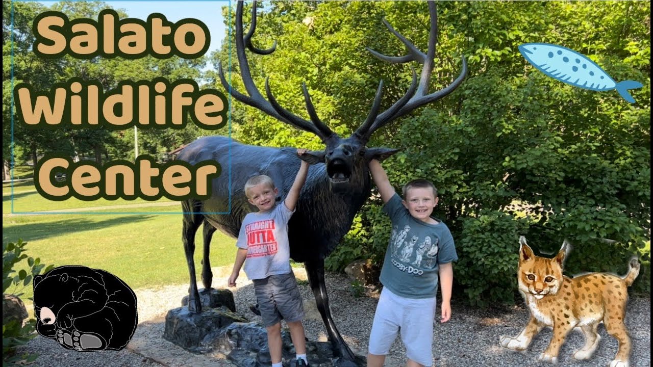 Salato Wildlife Center in Frankfort, KY | Black Bear, Bald Eagle, Bison, Reptiles and More!