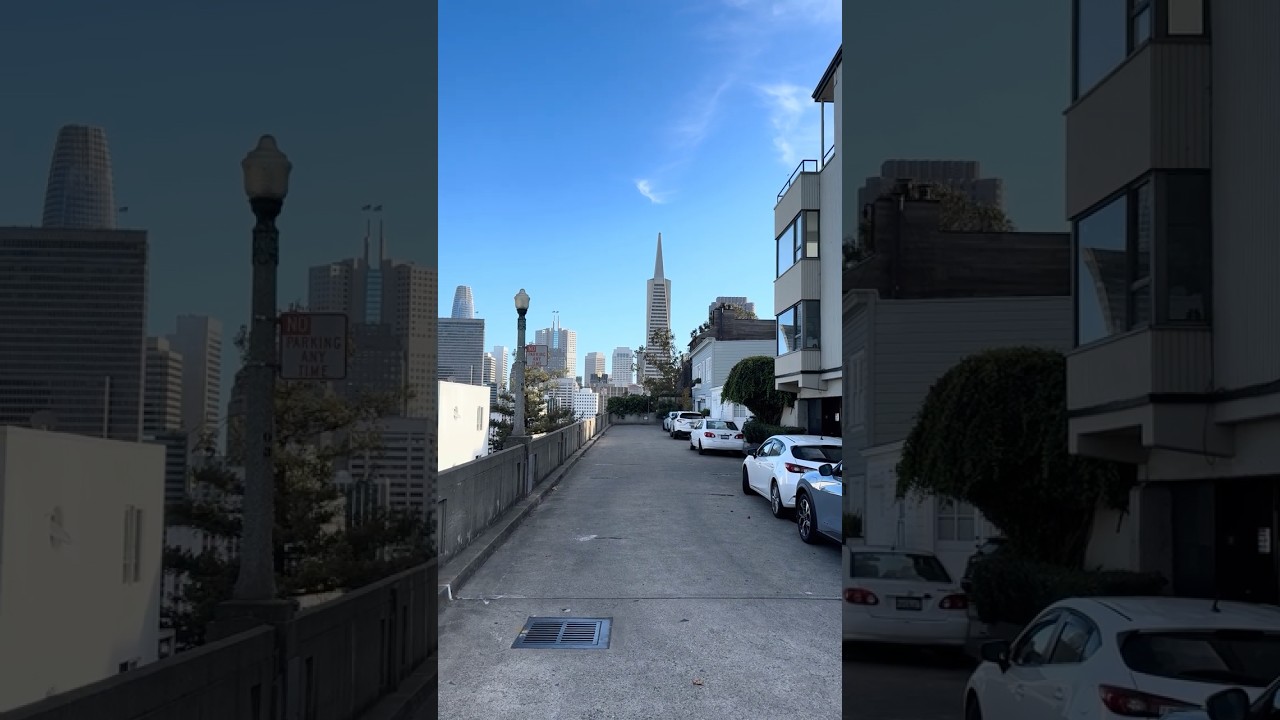 Parakeet’s & Spectacular VIEW ON Telegraph Hill IN San Francisco