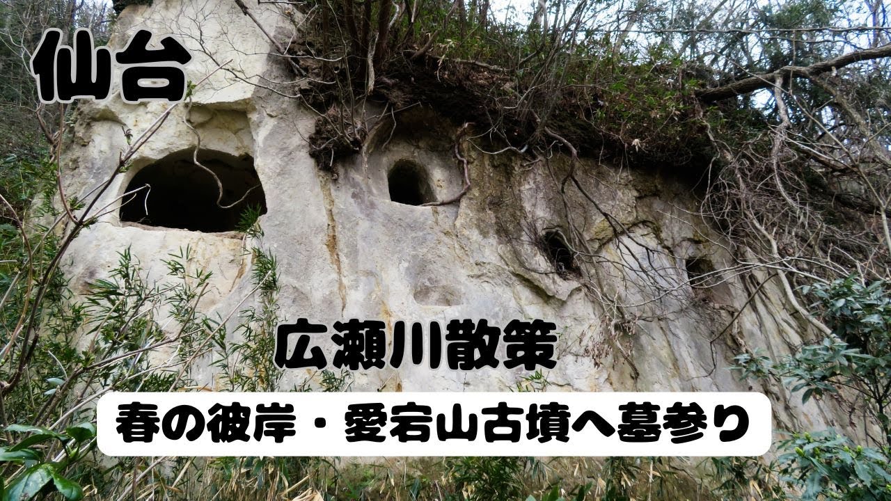 [きょうの広瀬川] 春の彼岸の広瀬川散策、愛宕山古墳へ墓参り他　25.3.20