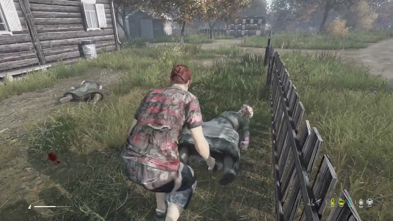 DayZ_20260216201331