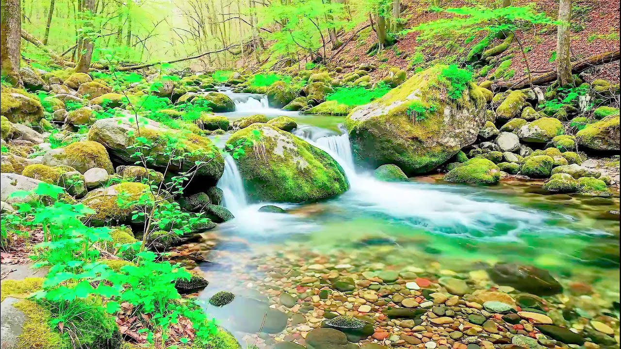 Flowing River Sound for Deep Sleep | Calm Nature Noise for Wellness and Sleep Aid