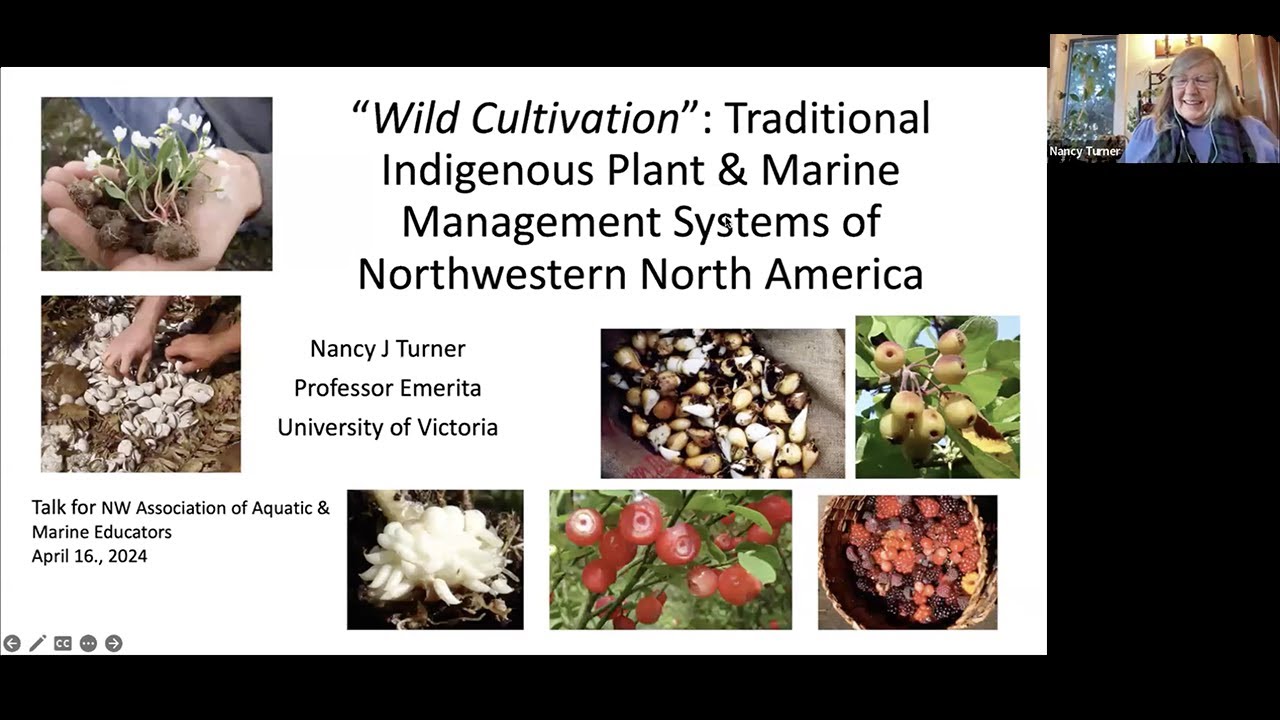 Ocean Cultures  Northwest Coast Ecosystems and Indigenous Management Systems