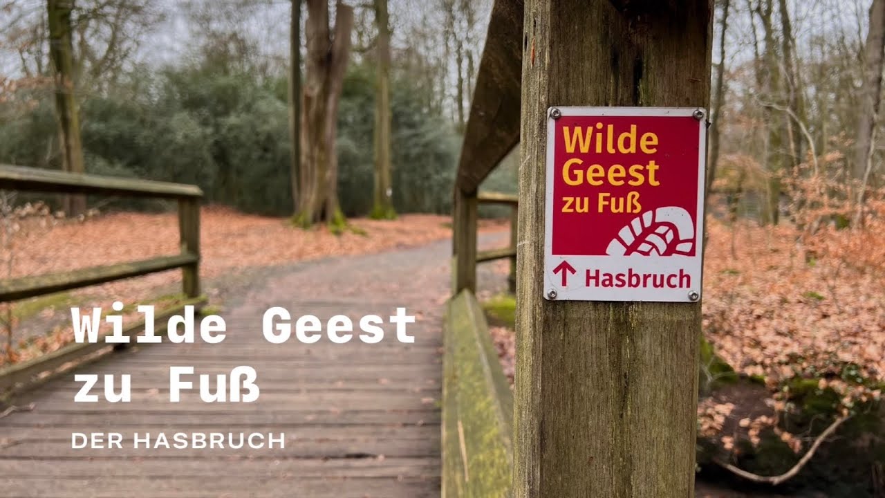 Der Hasbruch - Wilde Geest zu Fuß