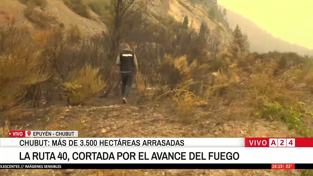 🔴 FUEGO SIN CONTROL EN LA PATAGONIA: 3500 HECTÁREAS ARRASADAS POR LOS INCENDIOS