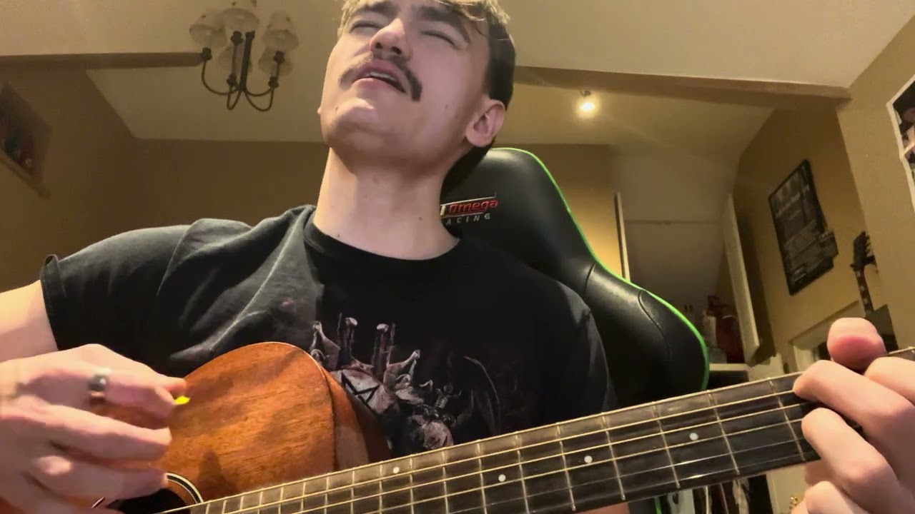 nutshell | alice in chains (cover)