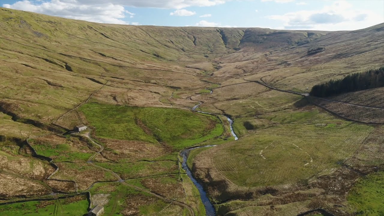 Snaizeholme woodland restoration - Tree planting has begun