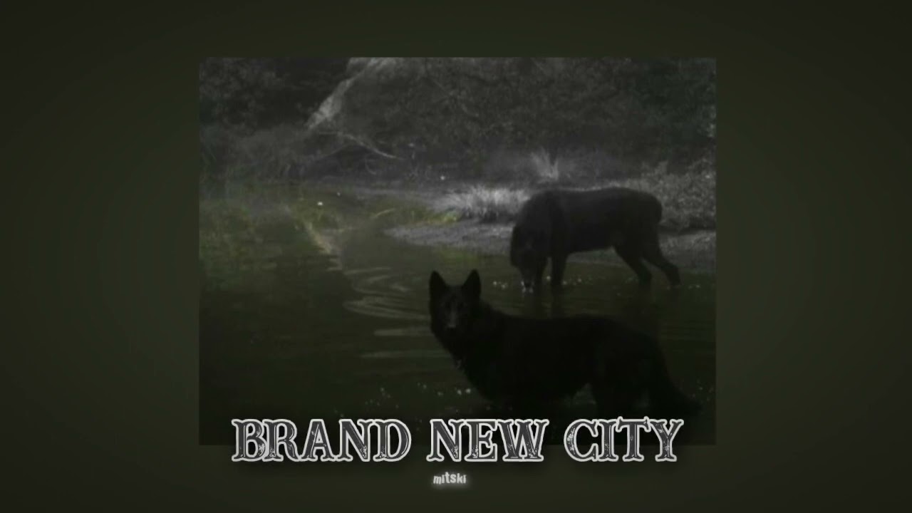 Brand New City - Mitski - ( Slowed + Reverbed )
