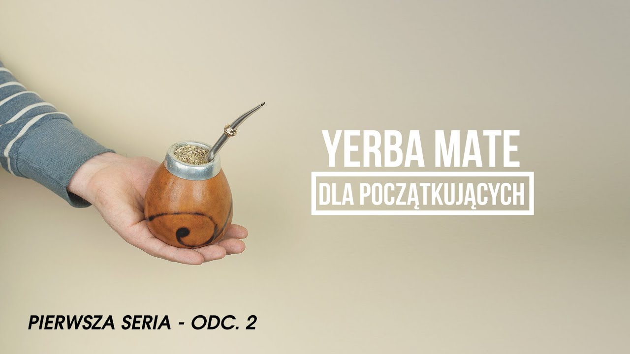 Yerba Mate dla początkujących: parzenie, wybór matero, co zrobić po zakupie. Czajnikowy.pl