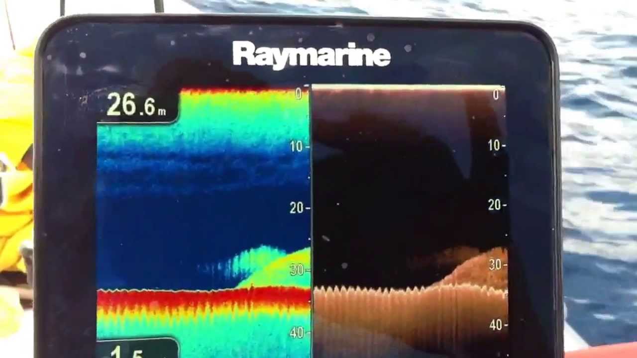 raymarine Dragonfly Marshall M80 parte 3