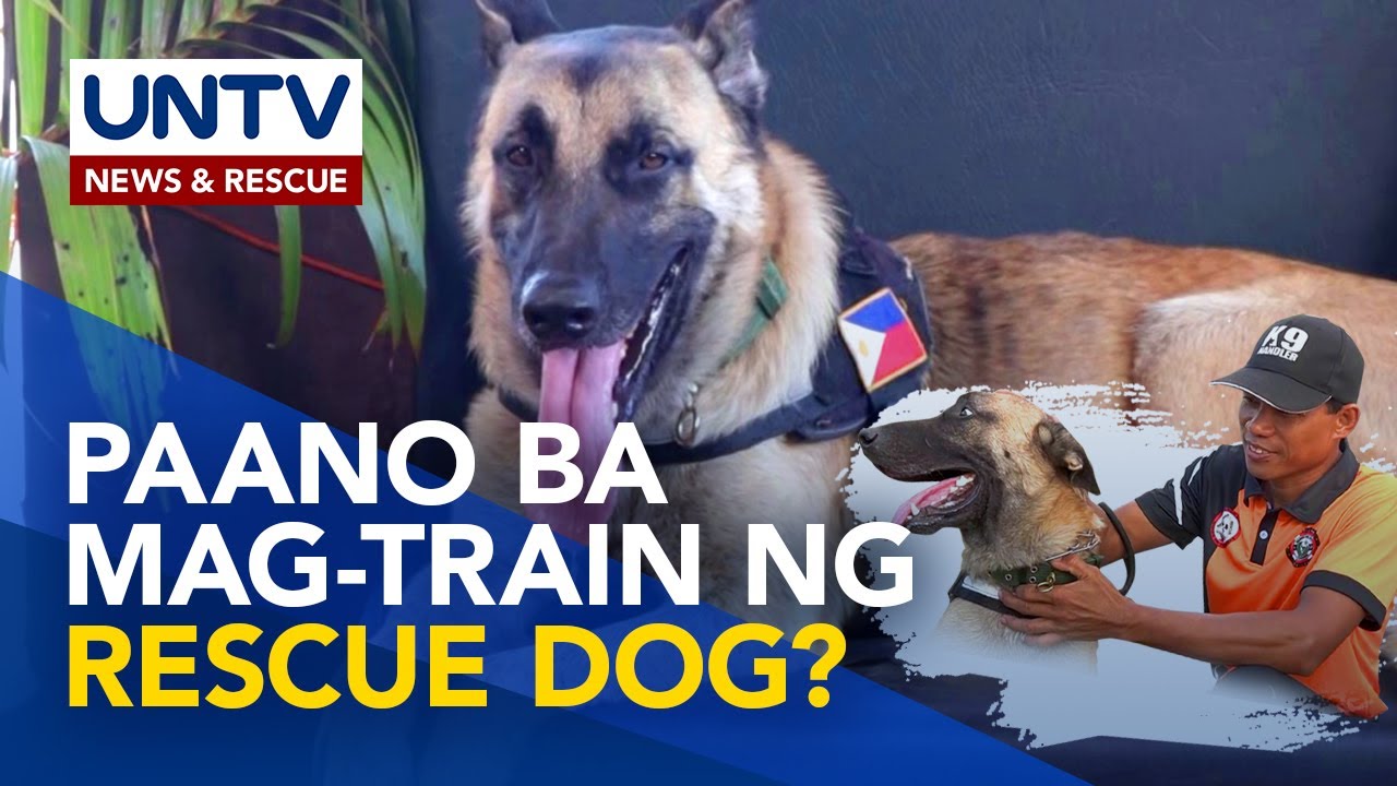 Kilalanin si Gabay, isang K9 rescue dog | Pet talk