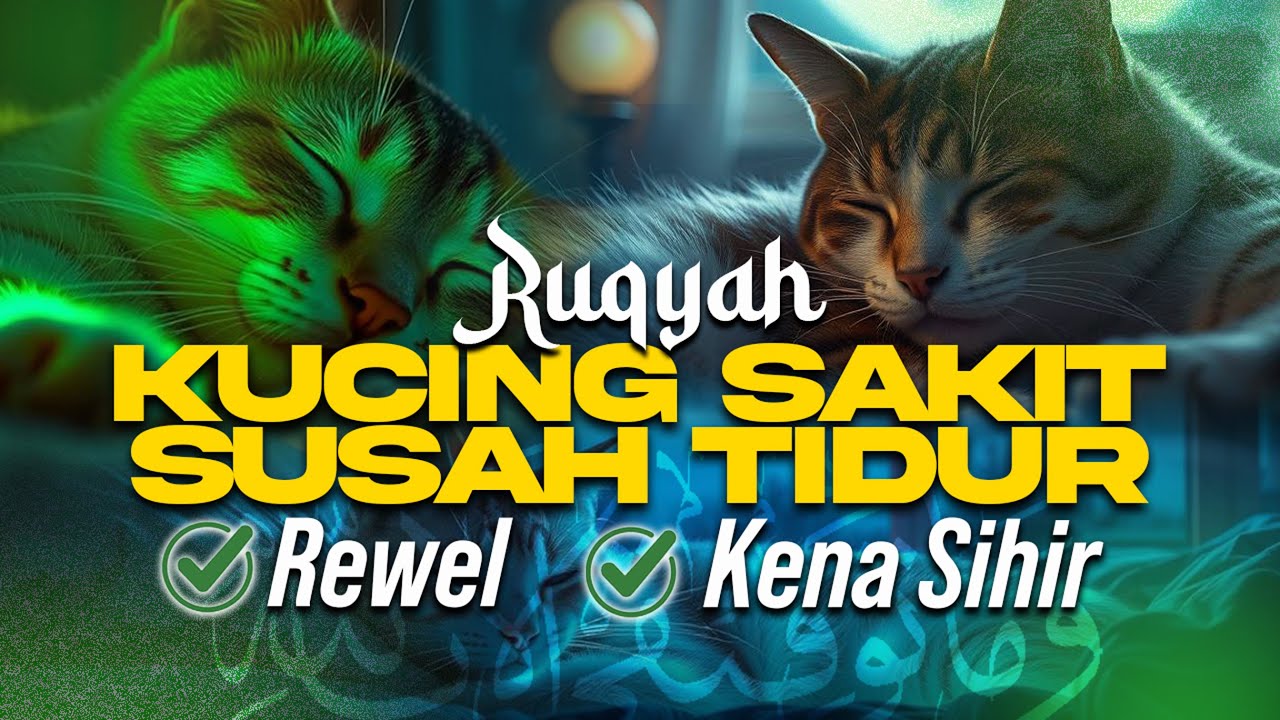 RUQYAH KUCING SAKIT SUSAH TIDUR REWEL DAN KENA SIHIR