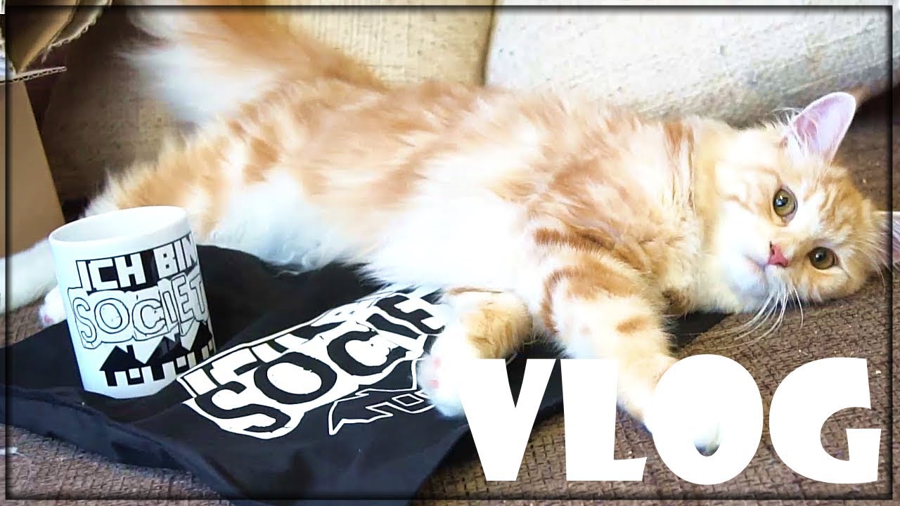 Zeug auspacken! | Balui VLog (12/07/18)