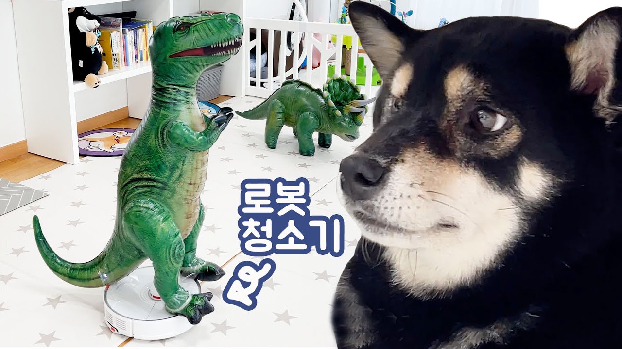 움직이는 공룡을 본 강아지의 반응 ㅋㅋㅋ