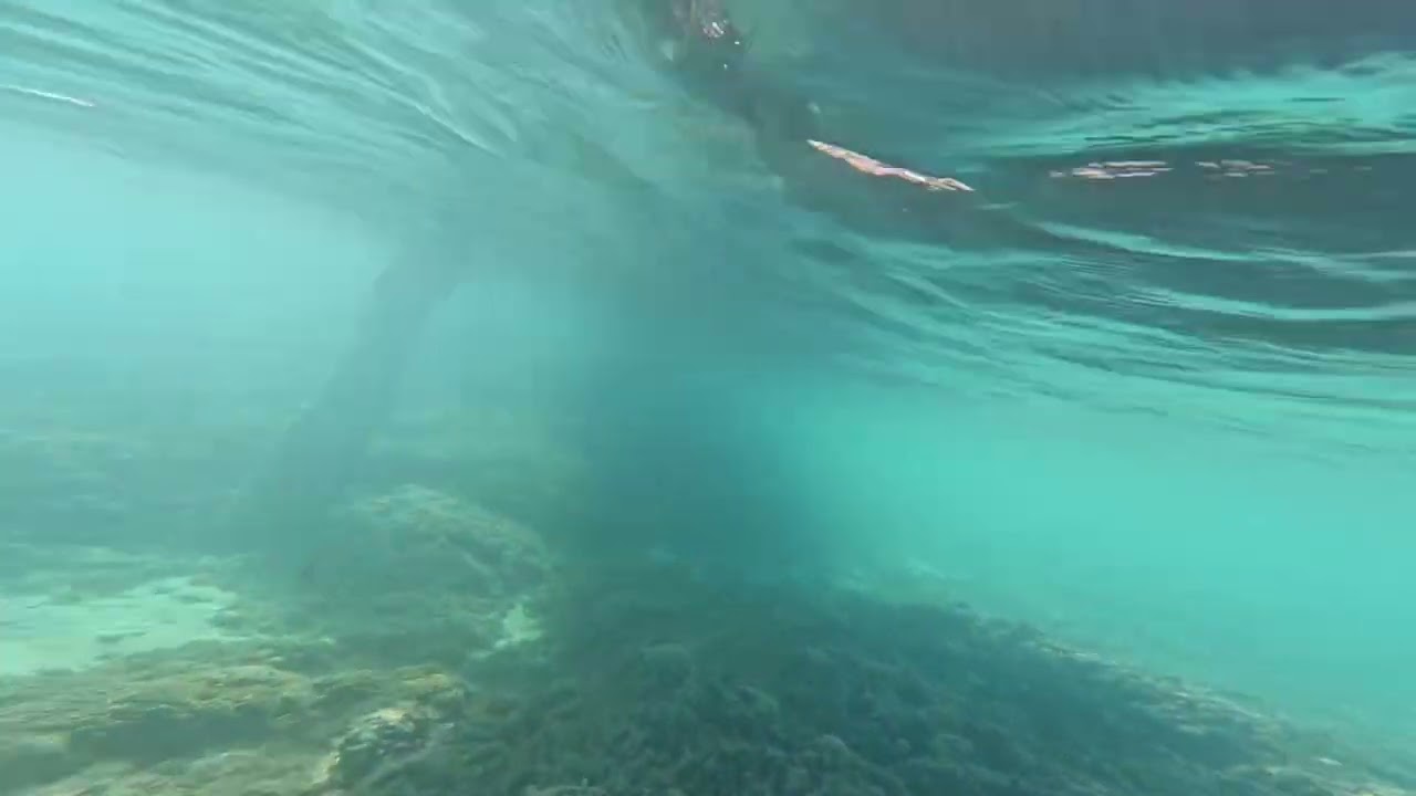 Conrad Bora Bora Snorkeling 