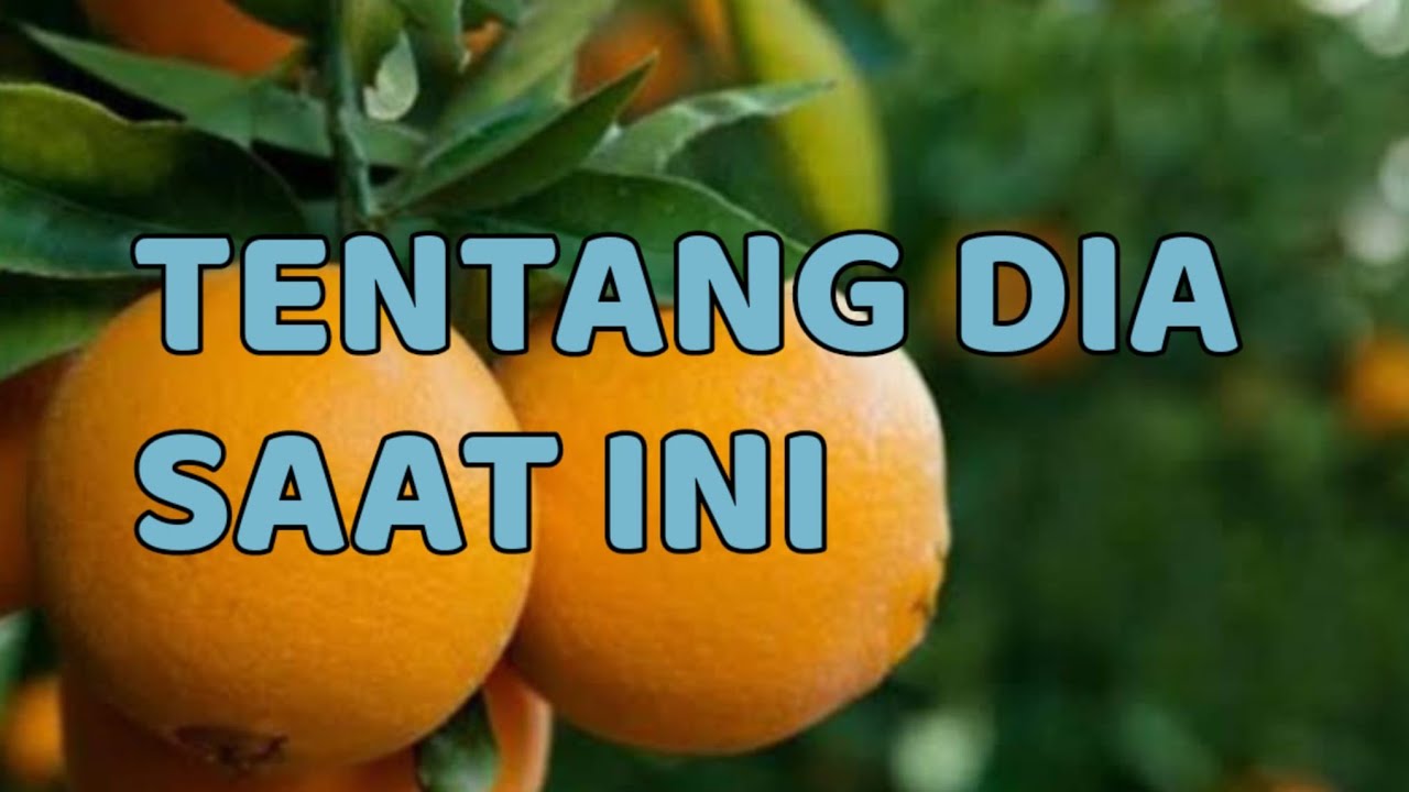 🎆 TENTANG DIA SAAT INI 🎆