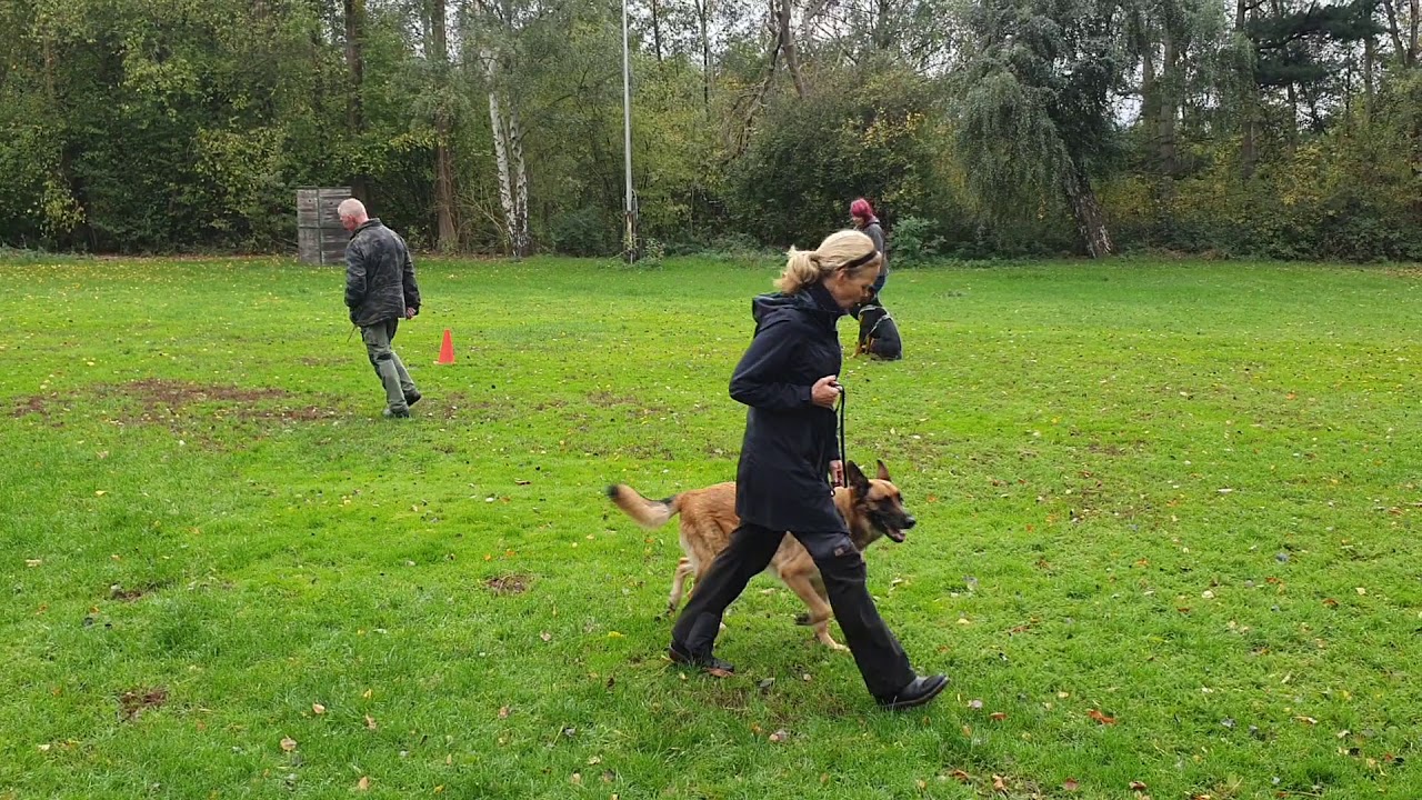 Samson  - Wesenstest 2019
