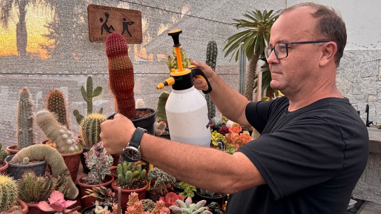Fungos Nunca Mais – Proteja Suas Plantas com Dois Aliados!