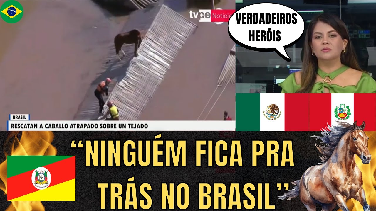 M&iacute;dia Internacional Impressionada Com O Resgate Do Cavalo No Rio Grande Do Sul
