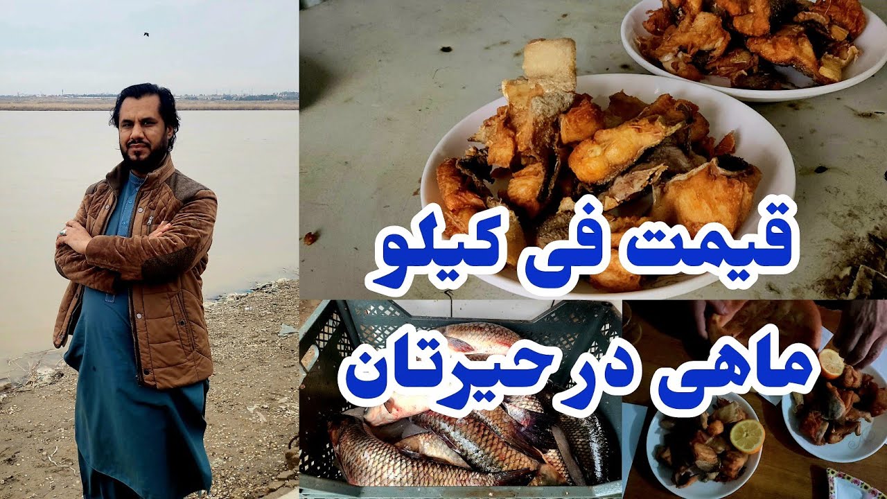 سفر به شهرک حیرتان|قیمت ماهی چند است؟ریگستان،دریای آمو،مهمانان،پختن ماهی خوش‌مزه 