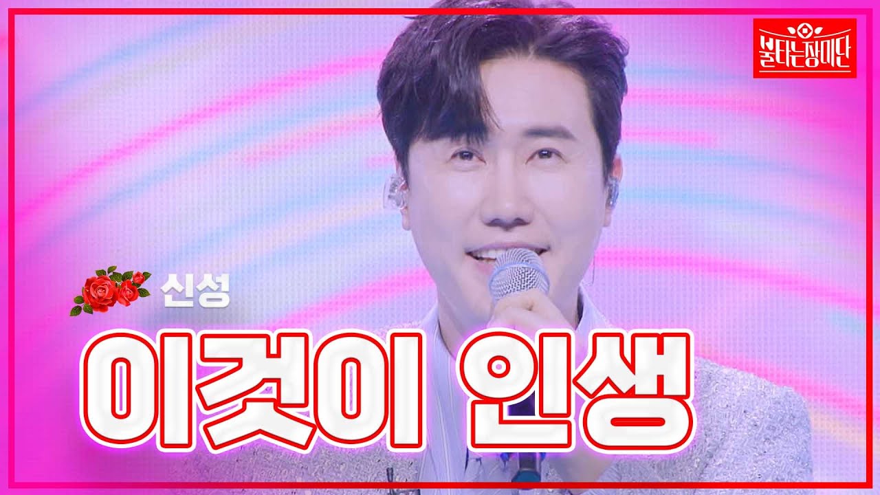 【클린버전】신성 - 이것이 인생 | 🌹불타는 장미단🌹240205
