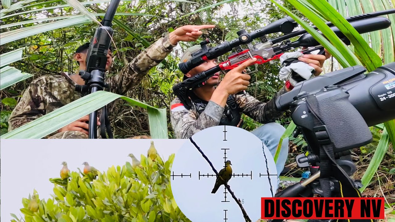 AKURASI SELALU HIT PREDATOR FULL CNC // DISCOVERY LHD & NV DISCOVERY DIPAKAI HUNTING PUNAI