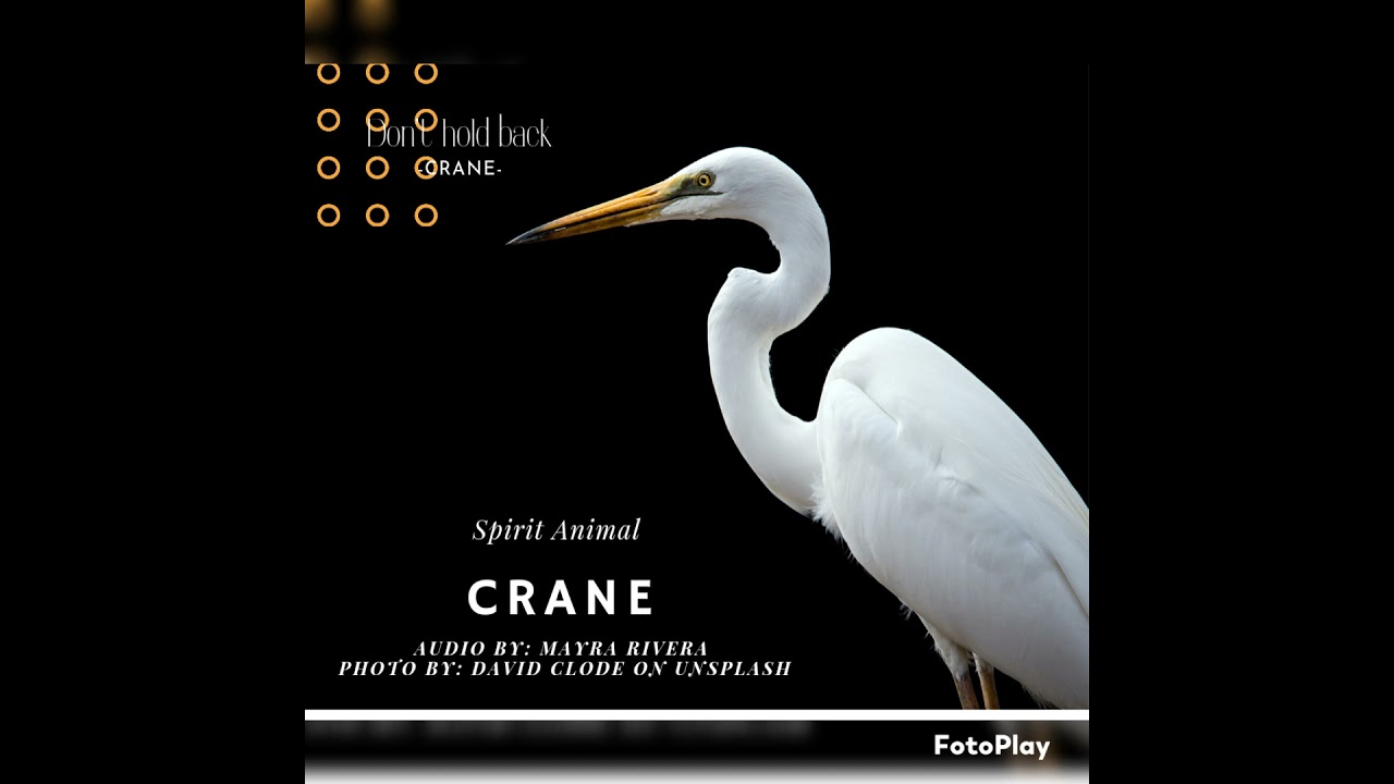 Spirit Animal-Crane