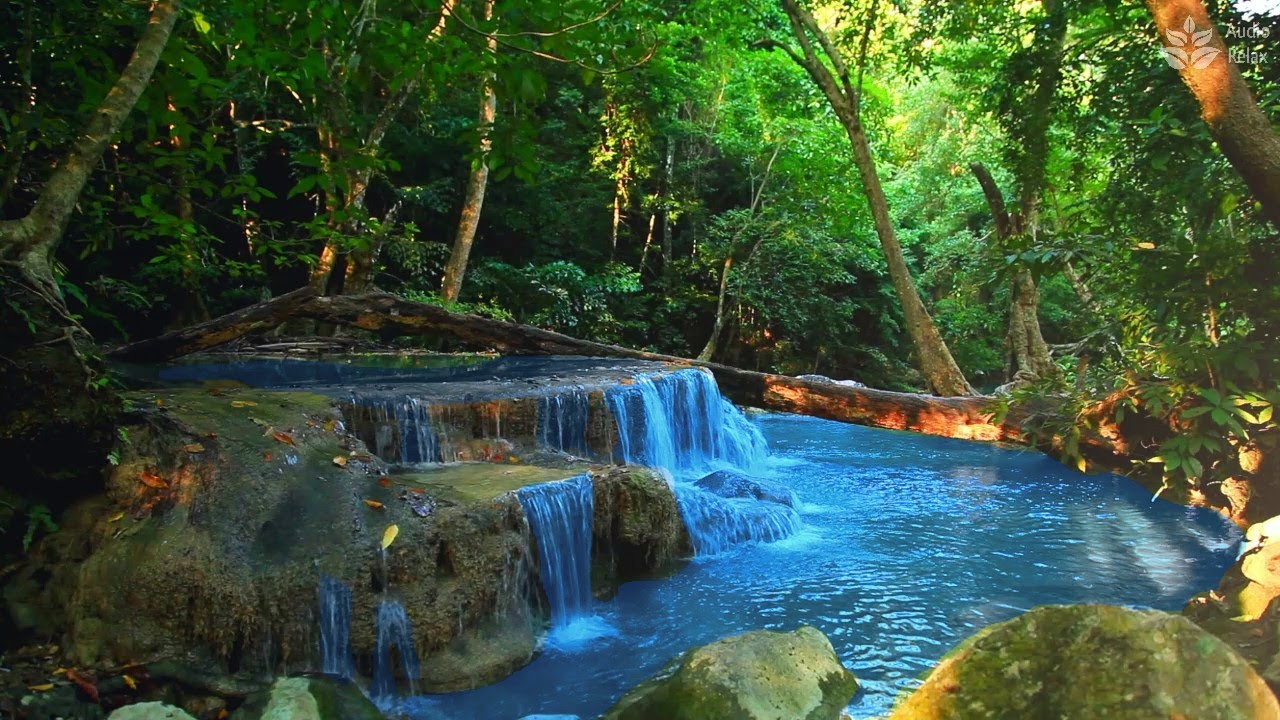 Calming Tropical rainforest waterfall in Thailand. Nature ASMR
